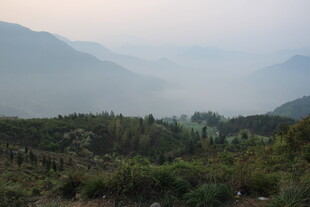 婺源山间晨景 绿意盎然