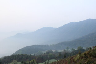 婺源山间晨景 朦胧山色绿意浓