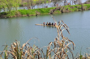 婺源河上龙舟竞渡