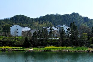 婺源湖畔青山间的宁静村落