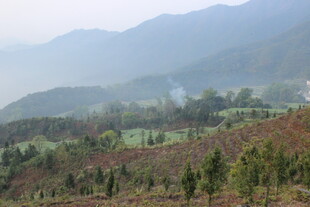 婺源山间田园风光美景