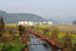 婺源乡村田园小河畔美丽风光