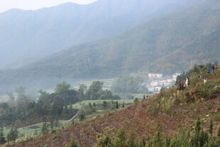 婺源山间村落 朦胧美景