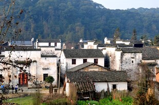 婺源徽派村落 青山下的宁静民居