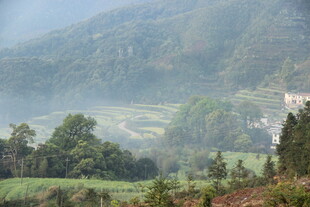 婺源山间雾绕田园美景