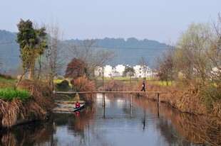 婺源乡村河畔小船静谧风光