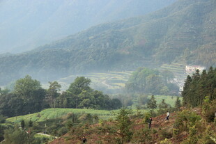 婺源山间晨雾中的田园风光