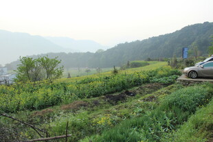 婺源山间田野风光 车辆停靠处