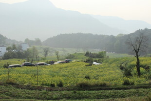 婺源山间绿野田园风光美景