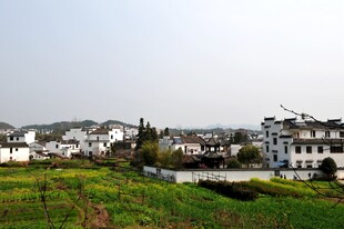 婺源乡村田园风光 白墙黑瓦民居