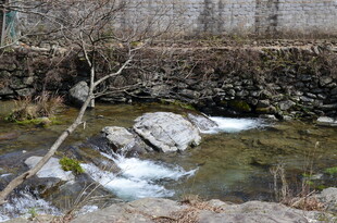 婺源山间溪流潺潺过石景