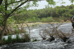 婺源溪边垂钓者