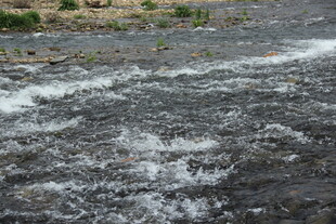 婺源潺潺溪流 水花灵动