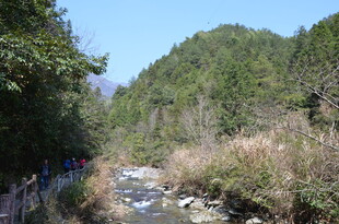 婺源山间溪流景色