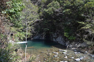 婺源山间清澈幽潭美景