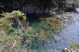 婺源山间清澈幽潭景色