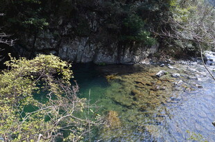 婺源山间清澈溪流美景