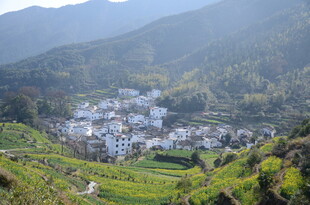 婺源山间村落美景
