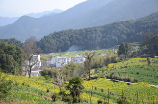 婺源山间田园美景