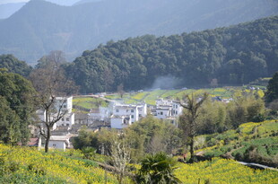 婺源山村田园美景