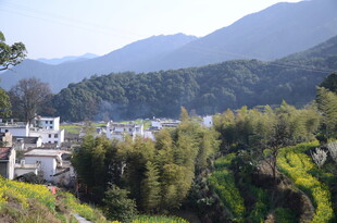 婺源山村美景 绿意环绕的村落