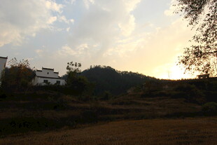 婺源夕阳下的乡村田园景色