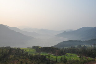 婺源山间晨景 云雾缭绕绿意浓