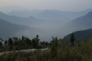 婺源山间晨雾中的葱郁景致
