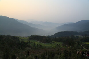 婺源山间暮色中的葱郁景致
