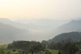 婺源山间晨景 绿意盎然的自然美