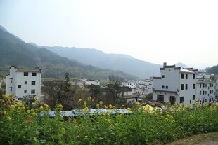 婺源山村田园风光美景