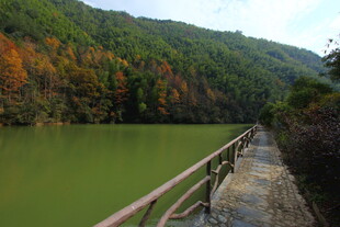 婺源湖畔秋色栈道景