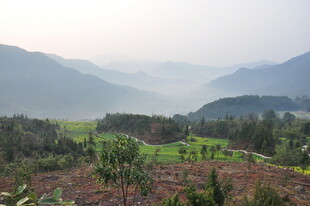 婺源山间田园美景