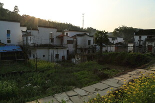 婺源乡村傍晚景色 宁静村落