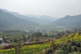 婺源山间田园美景