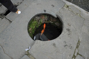 婺源井口现橙色物体