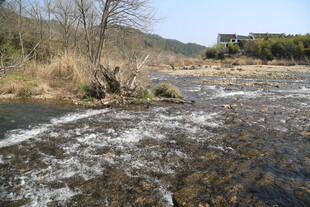 婺源山间溪流潺潺 自然景致