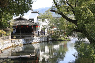 婺源江南水乡河畔古景