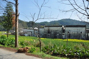 婺源乡村田园风光美景