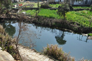 婺源乡村宁静小河景观