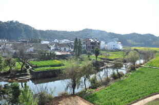 婺源乡村河畔美景如画