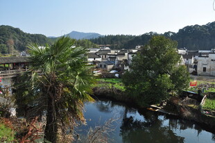 婺源乡村河畔美景