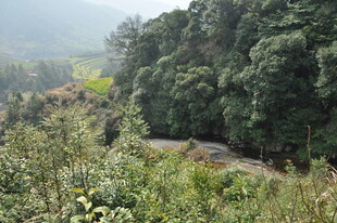 婺源山间绿意盎然的自然景致