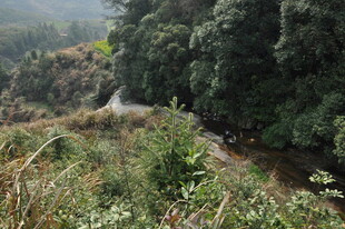 婺源山间蜿蜒小路 绿意盎然