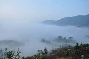 婺源山间晨雾缭绕的美丽景致