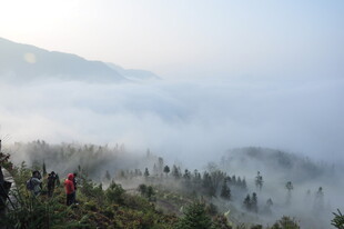 婺源山间云雾中漫步的人群