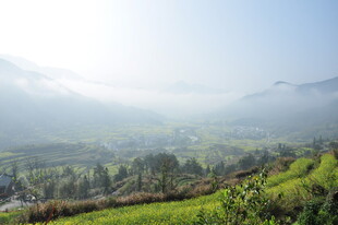 婺源山间晨景 绿意盎然的田园