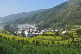 婺源山村田园美景