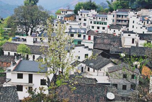 婺源徽派村落景致