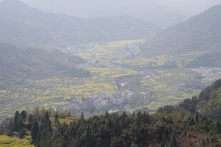 婺源山间田园美景